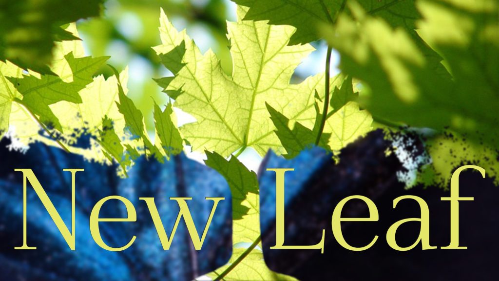 NEW LEAF